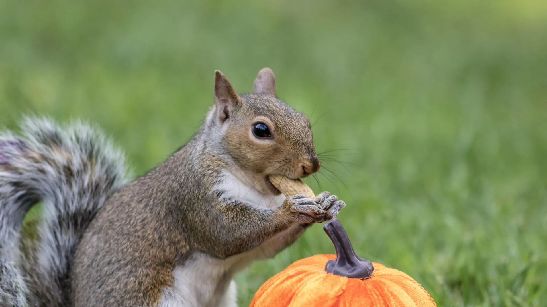 медиасток.рф