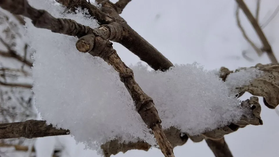 Фото: Юлия Габбасова