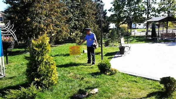 Полмиллиарда рублей штрафов отдали нарушители чистоты в МО за август