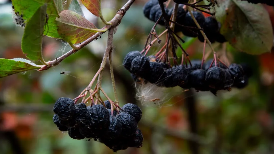 Фото: REGIONS/Дарья Кургузова