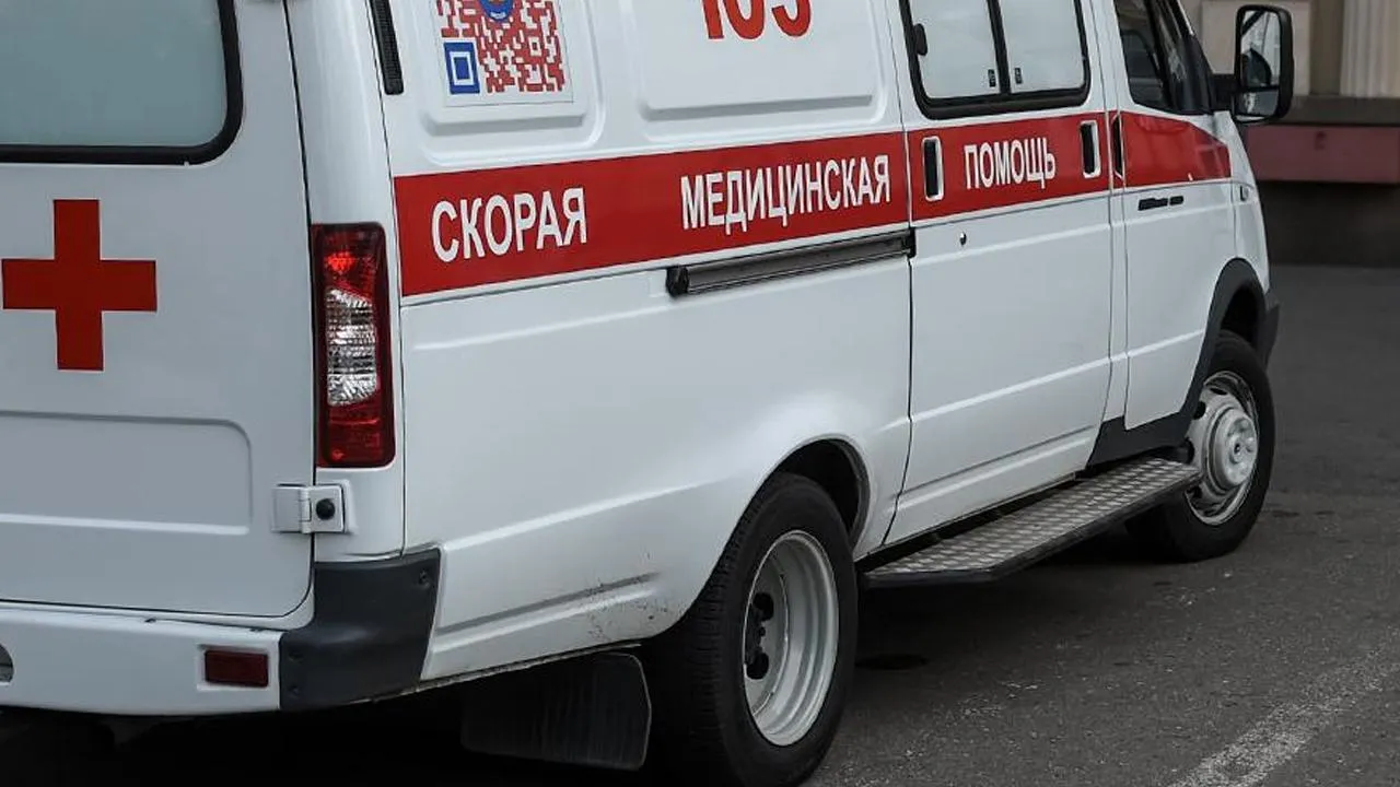 Врач Хорошев рассказал, как умирают заразившиеся бешенством люди