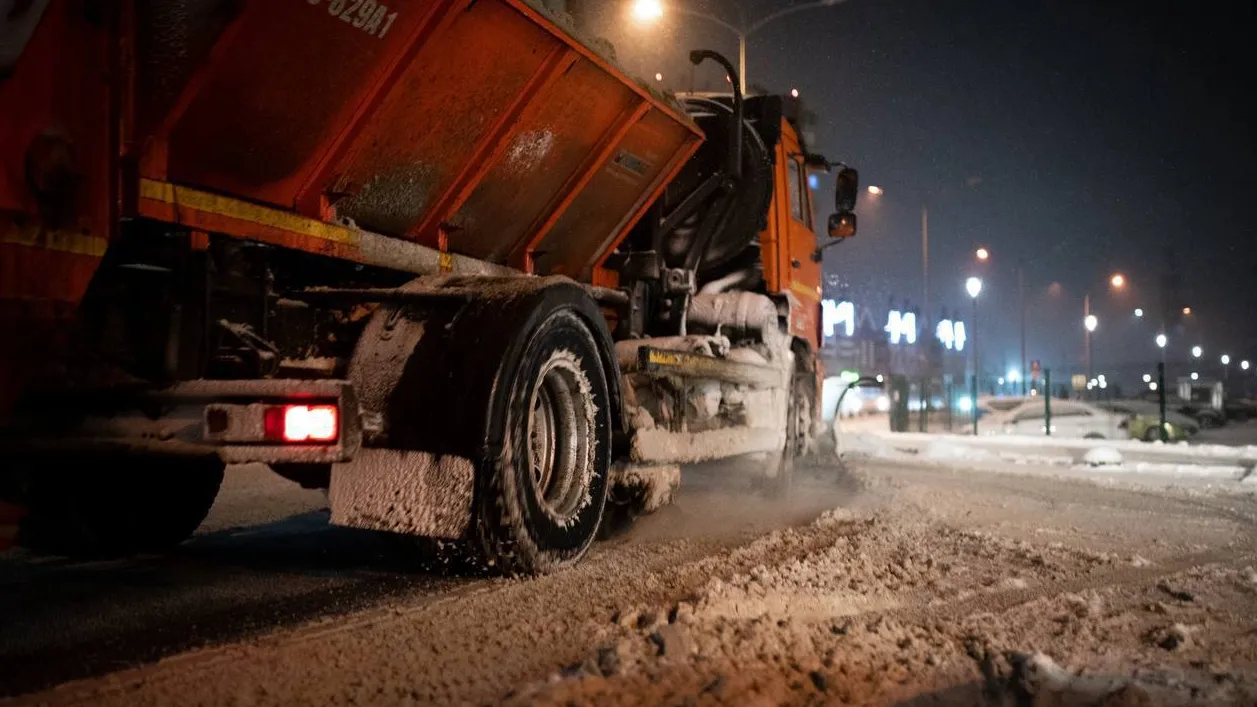 Фото: пресс-служба губернатора Московской области