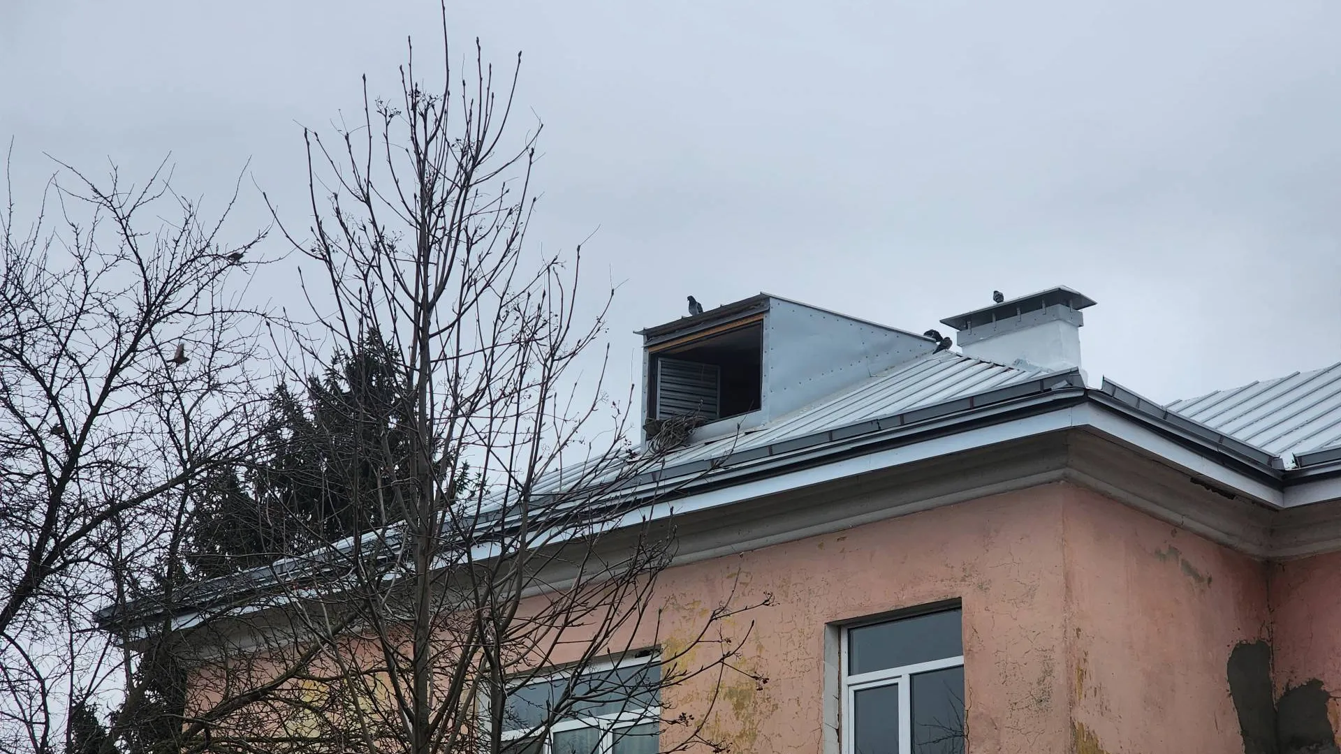 Фото: МедиаБанк Подмосковья/Марина Анисимова