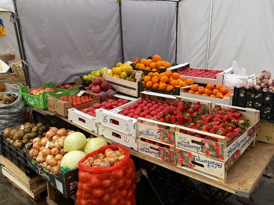 Фото: МедиаБанк Подмосковья/Елена Лабзина