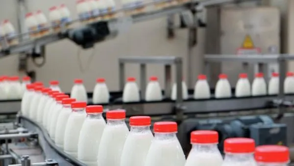 В Зарайске запланирован запуск завода по производству молочной продукции