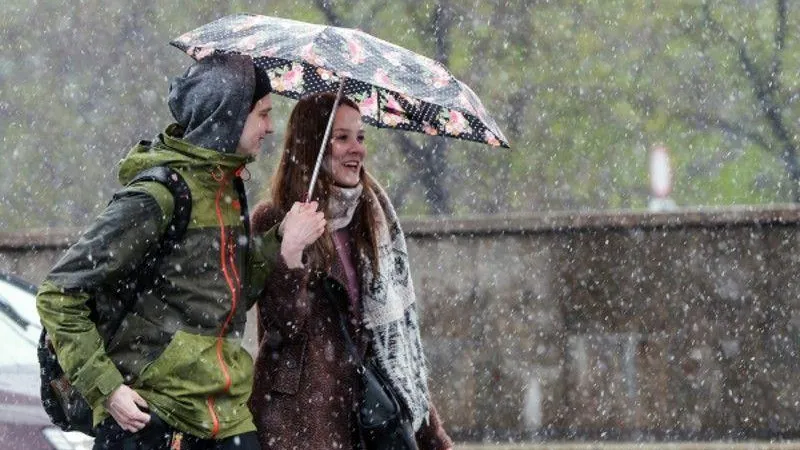 Мокрый снег ожидается в Подмосковье во вторник