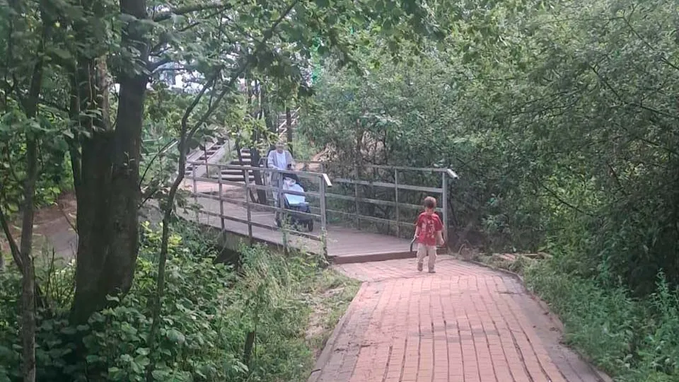 Фото: пресс-служба администрации г.о. Солнечногорск