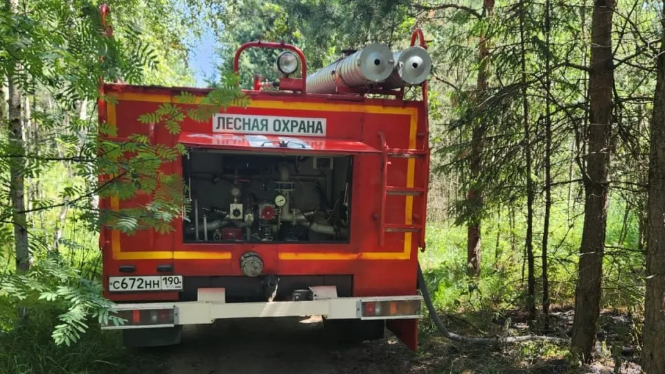 Фото: пресс-служба Администрации г.о. Котельники