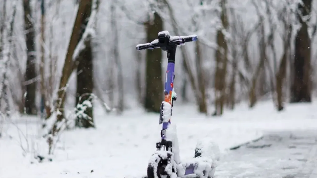 Фото: медиасток.рф