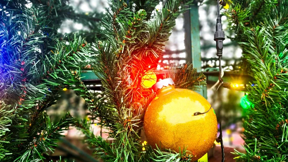 Фото: МедиаБанк Подмосковья/Мария Панина