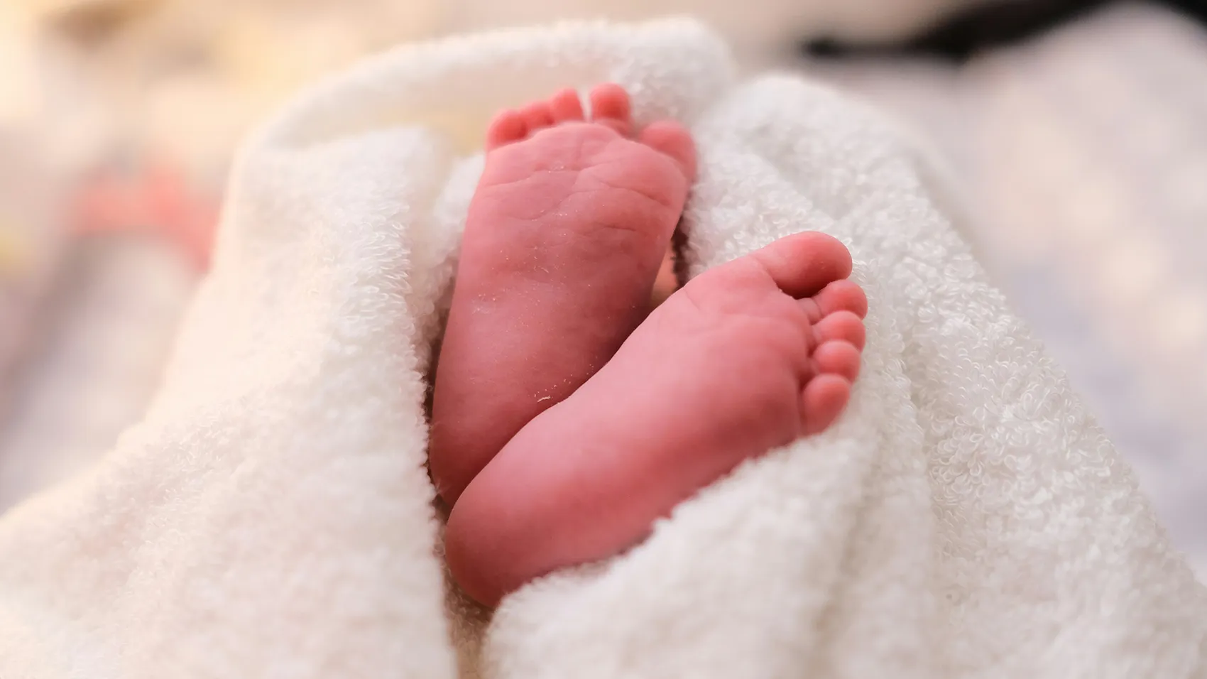 Фото: unsplash.com