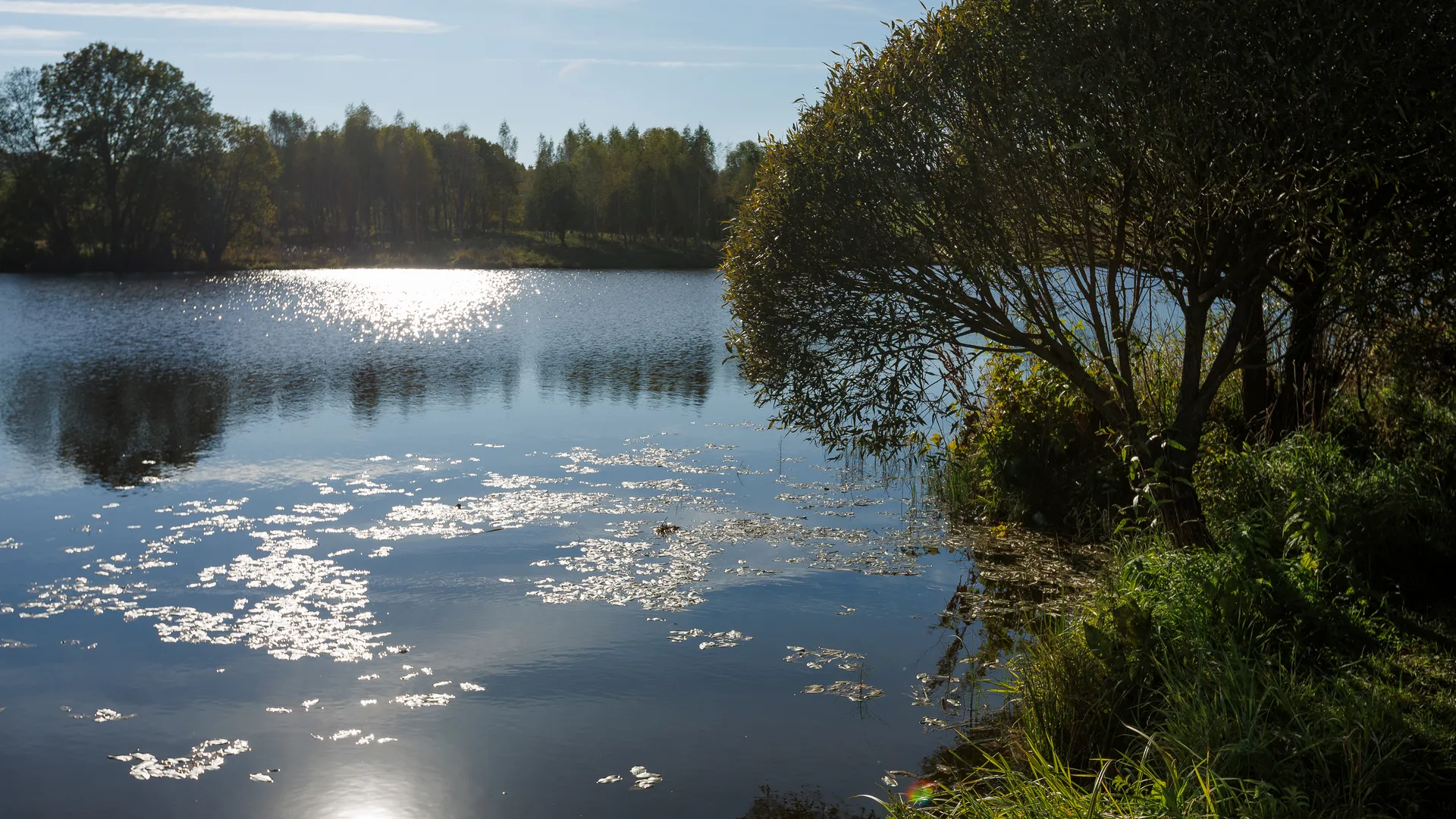 Мурановский пруд на реке Талица в деревне Ашукино округа Пушкинский