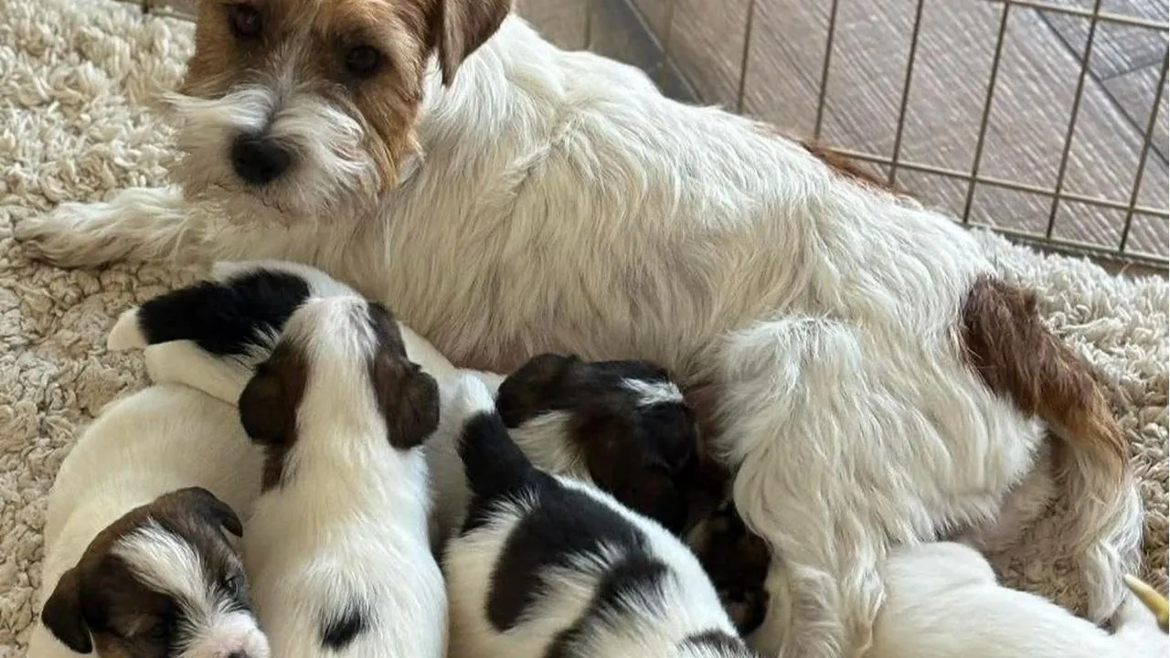 личный архив Юлии Беловой