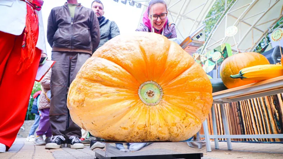 Фото: МедиаБанк Подмосковья/Данила Кирьянов