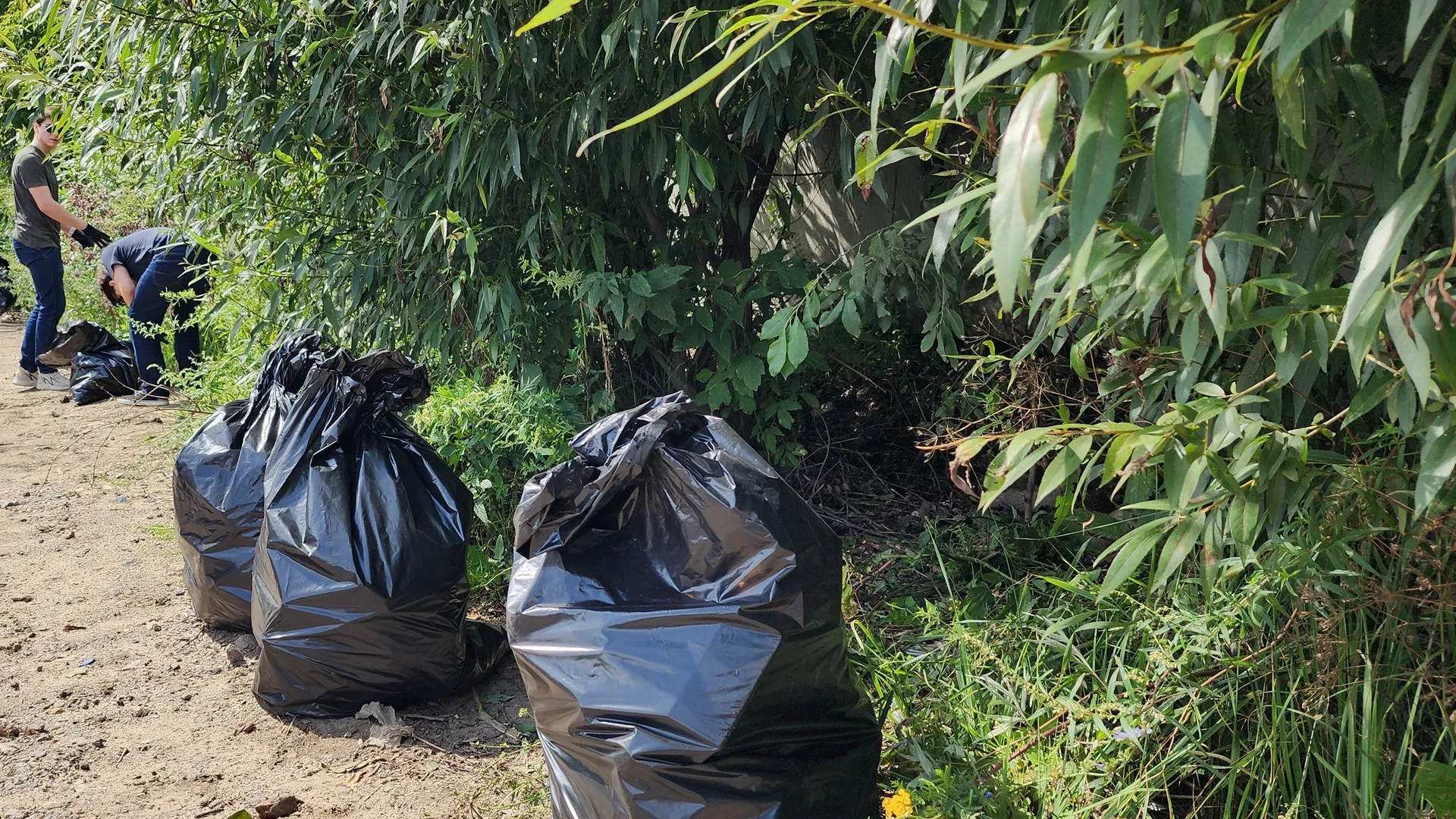 Фото: МедиаБанк Подмосковья/Ксения Пашуто