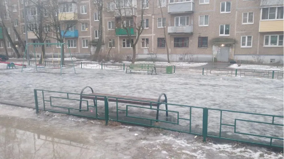 Фото: пресс-служба администрации г.о. Воскресенск