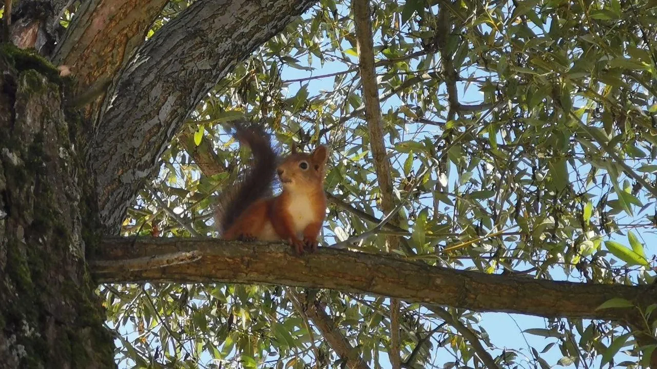 Фото: Татьяна Синельникова