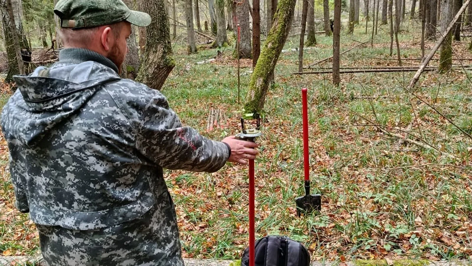Фото: филиал «Русский лес» ГКУ МО «Мособллес»