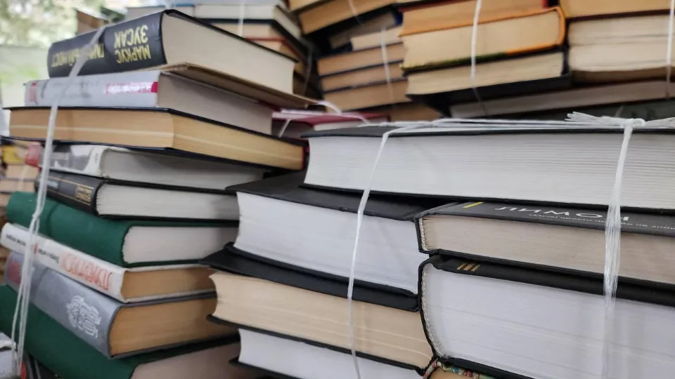 Фото: МедиаБанк Подмосковья