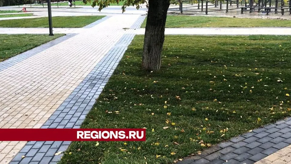 Фото: Министерство благоустройства МО