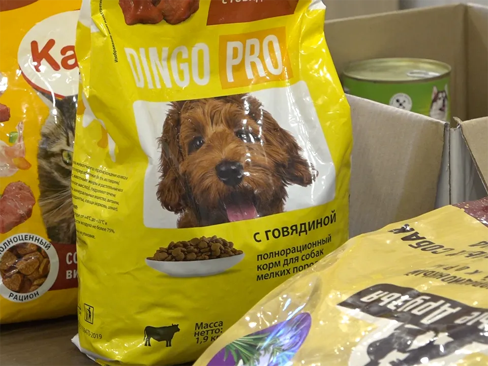 Фото: REGIONS/Елена Аботурова