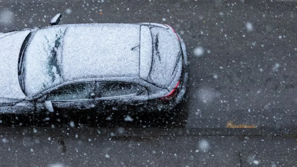 Фото: freepik.com