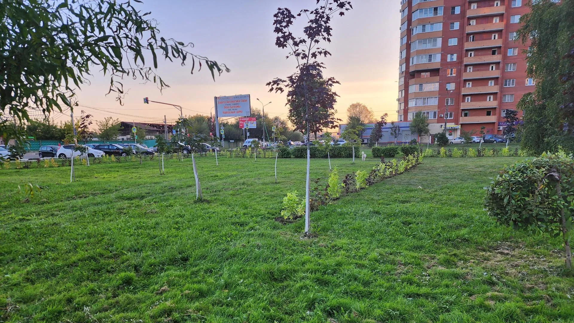 Источник: Алена Притула