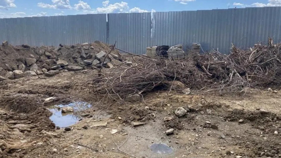 Фото: Министерство экологии и природопользования Московской области