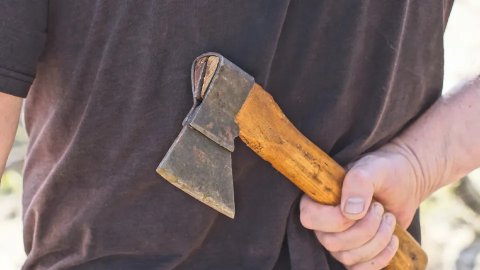 Фото: istockphoto.com/Анатолий Тушенцов