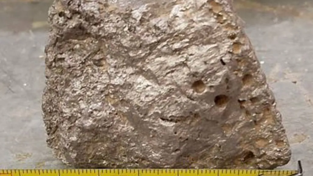 Фото: городская доска объявлений