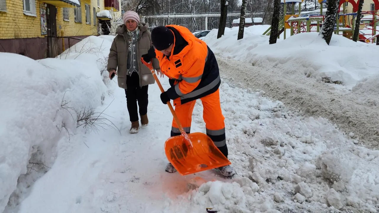 МедиаБанк Подмосковья/Ирина Моисеева