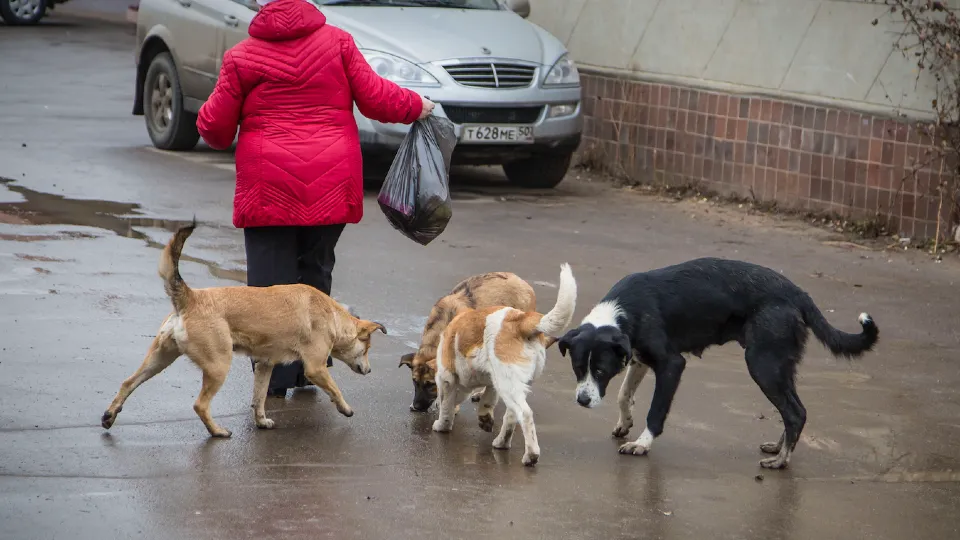 Фото: Павел Попов