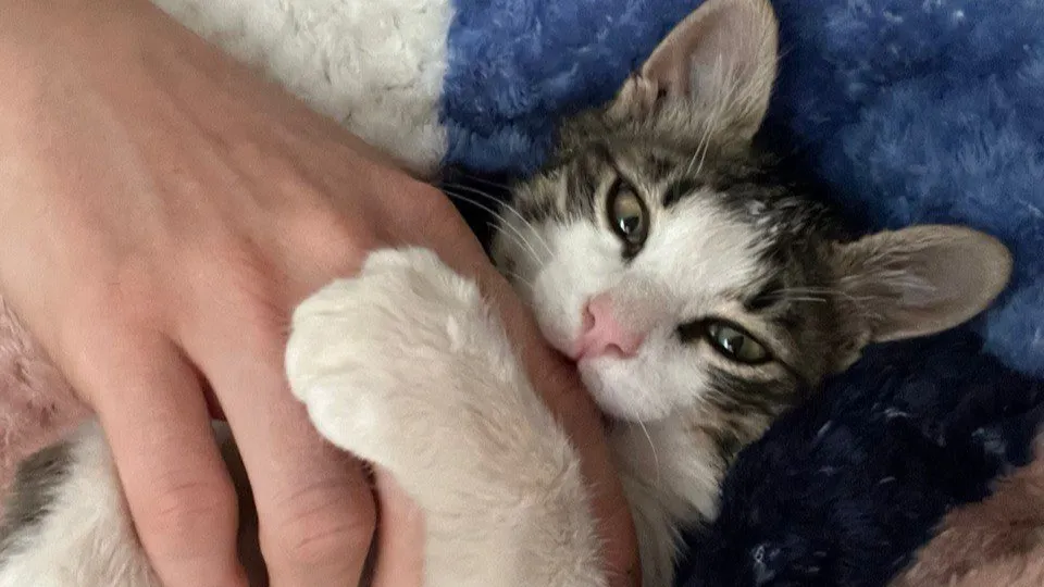 Фото: REGIONS/Наталия Надточая