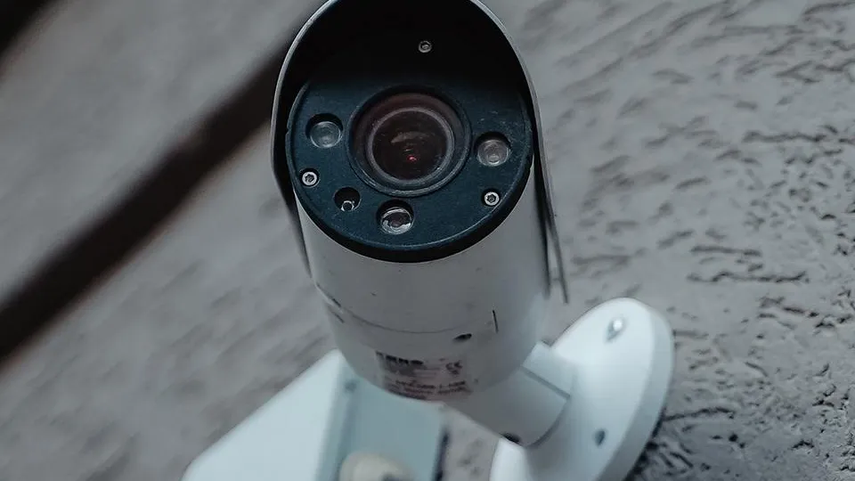 Фото: пресс-служба правительства Московской области