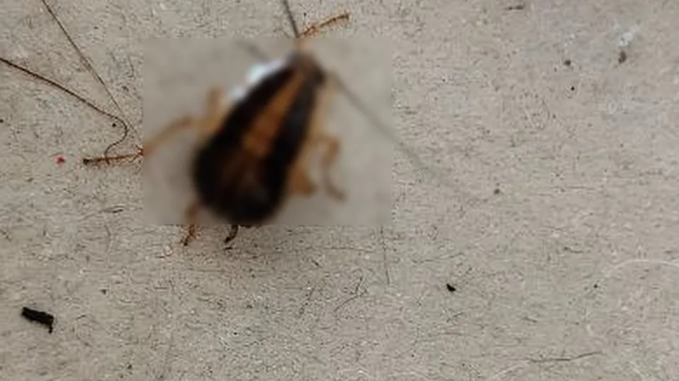 Фото: Наталия Надточая