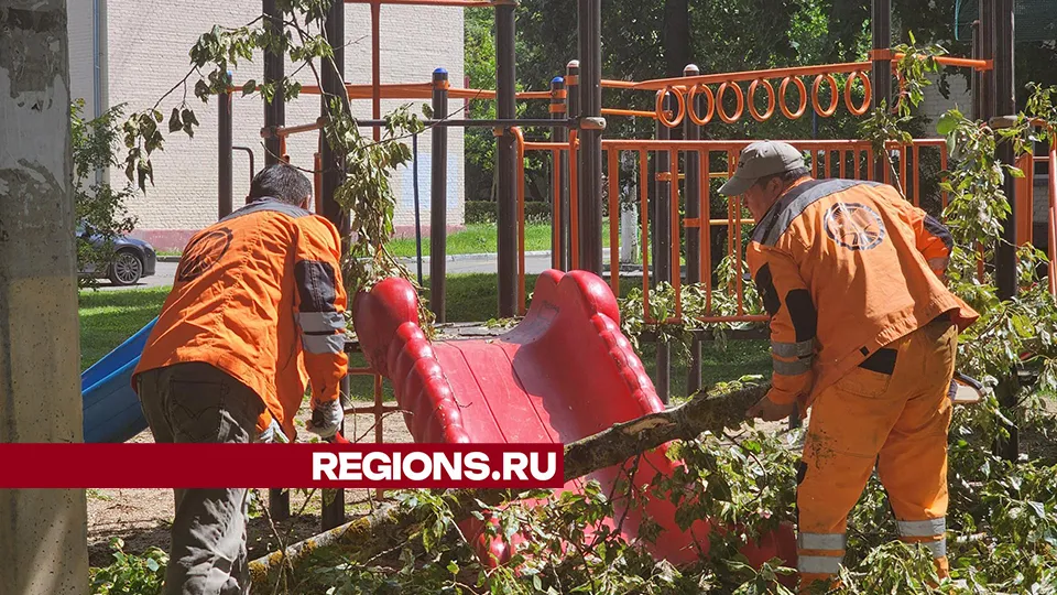 Фото: REGIONS/Роман Савельев