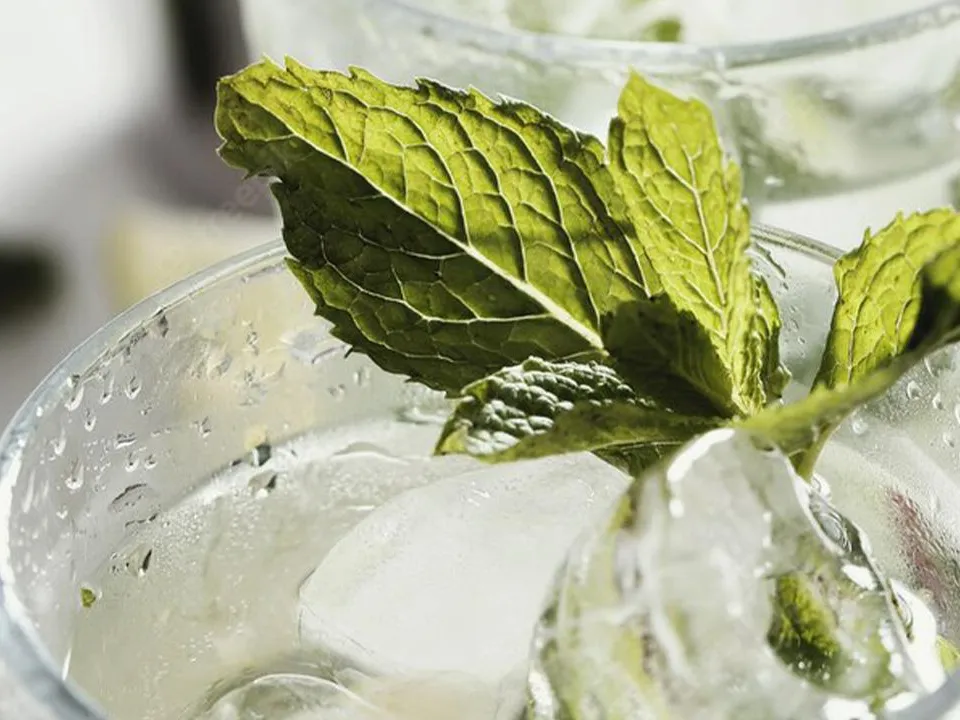 Мята, перец и сон на полу: необычные способы спастись от экстремальной жары