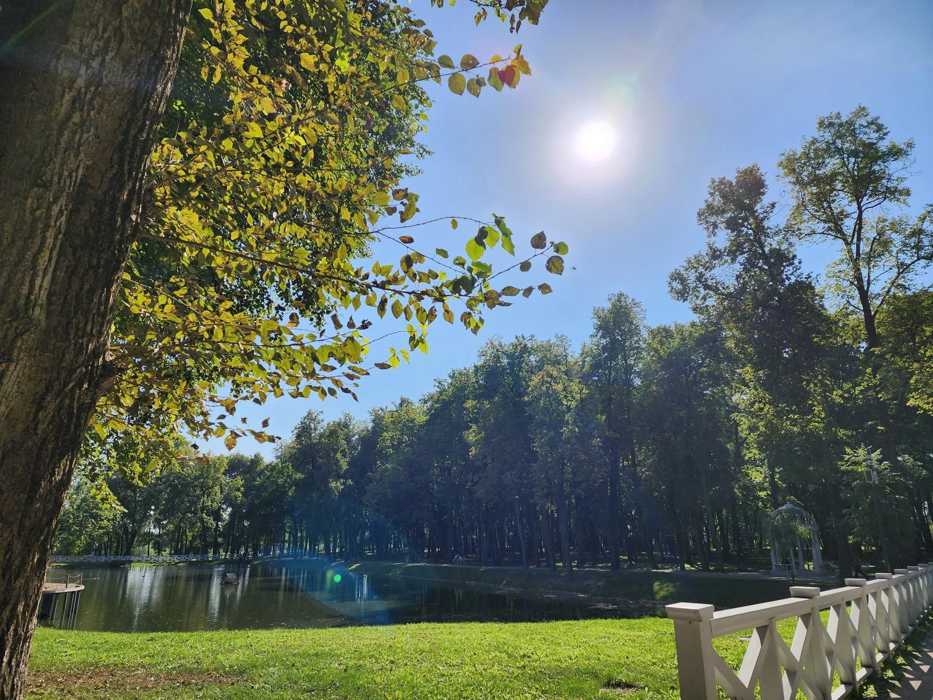 Светлана Плотникова