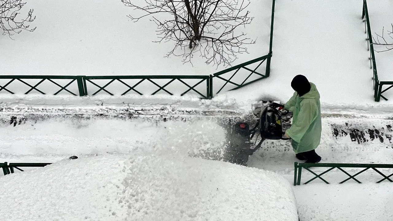 Источник: Валех Елчиев