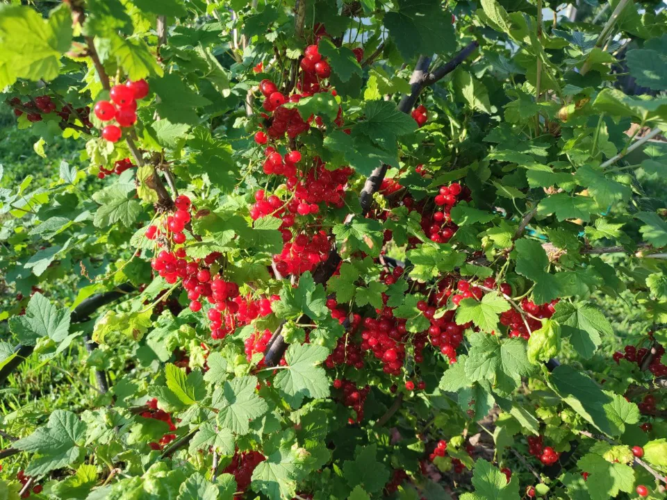 Фото: REGIONS/Елена Забелина