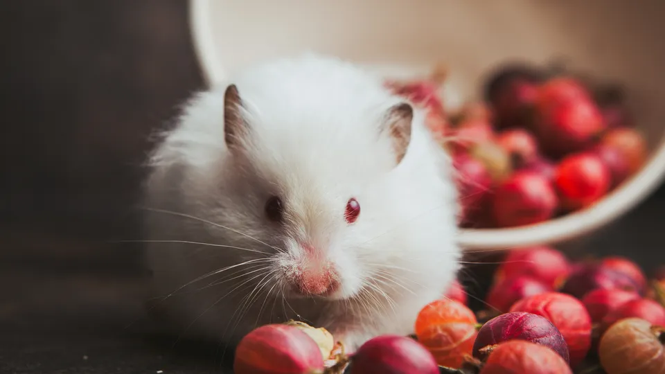 Фото: freepik.com