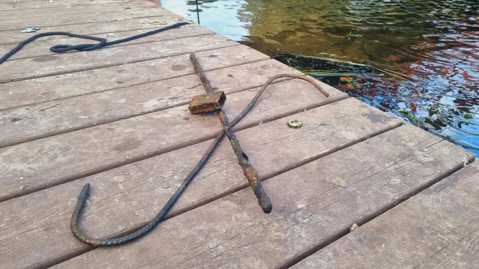 Фото: Ольга Егиян