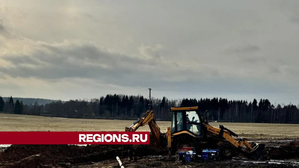 Фото: Татьяна Рунова