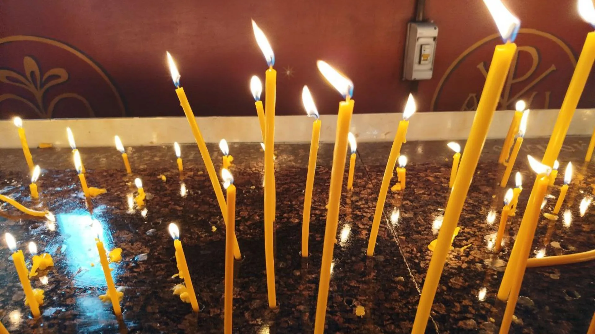 REGIONS/Юлия Куделькина