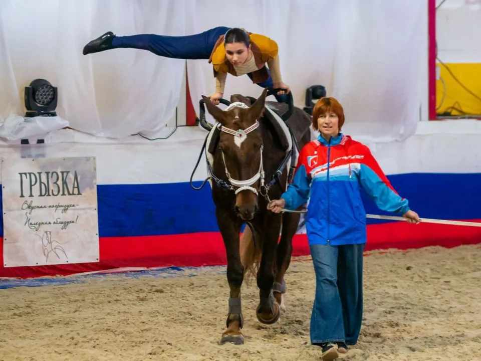 Фото: t.me/shorBelka