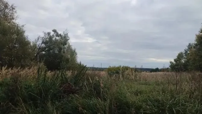 Комитет по конкурентной политике Московской области