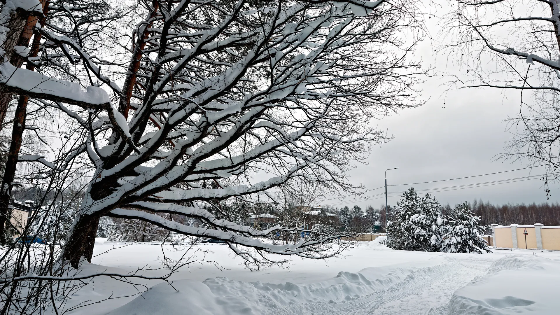 медиасток.рф