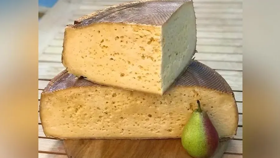 Фото: пресс-служба Минсельхозпрода МО