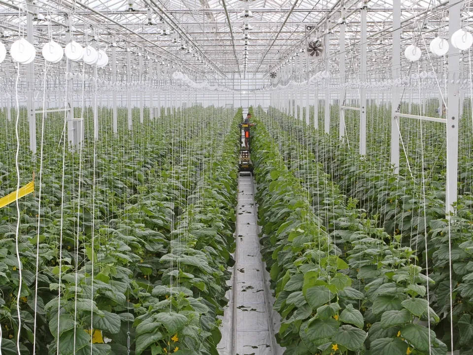 Фото: REGIONS/Александр Дрожжин