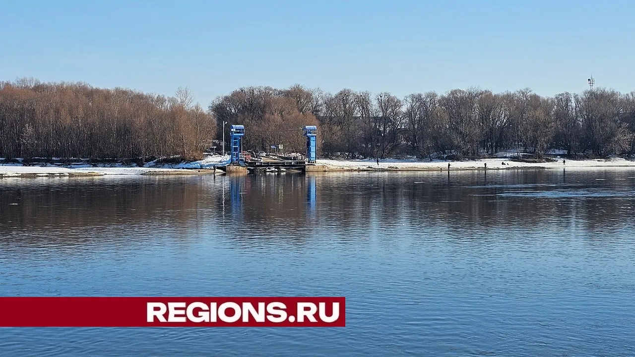 Фото: Александр Дрожжин